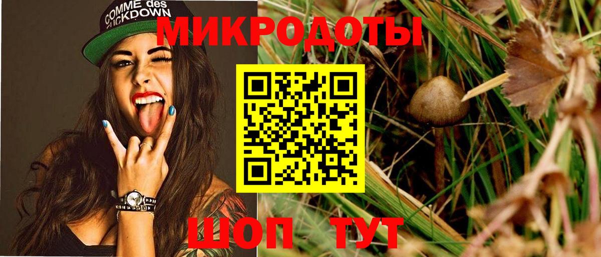 Отрадное  Галлюциногенные грибы Psilocybine cubensis  Вход с VPN  Псилоцибиновые грибы MAGIC MUSHROOMS 