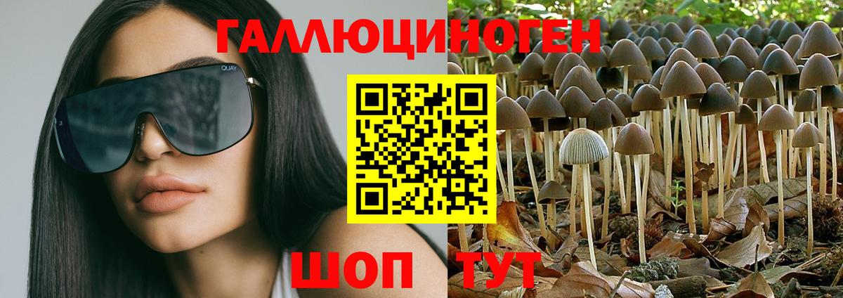 Галлюциногенные грибы Psilocybe Отрадное